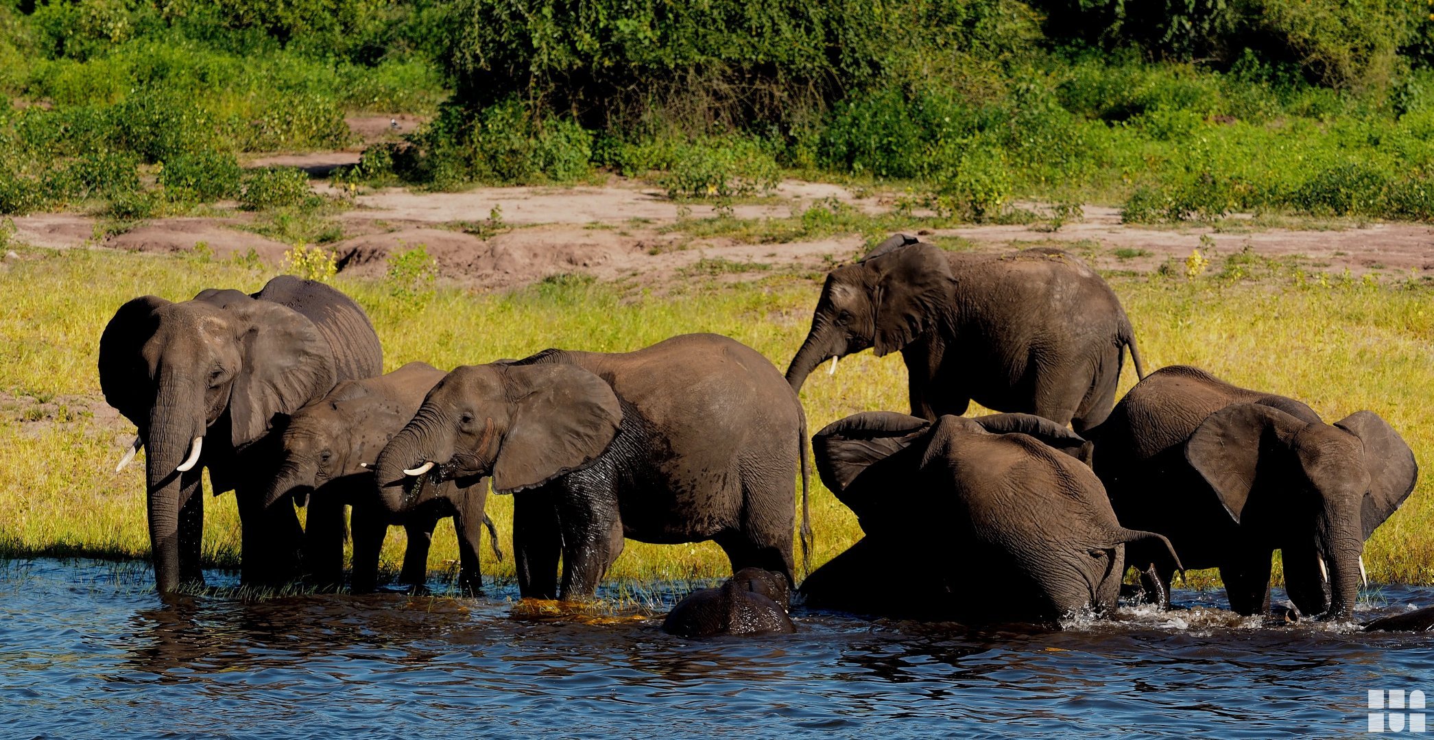 ab 5.599 €- 13-tägige Deluxe Erlebnisreise durch Botswana, Namibia und Simbabwe inkl. Übernachtungen in Safari Lodges, Safaris im Geländewagen und auf Booten,  All-Inclusive Verpflegung und Flügen