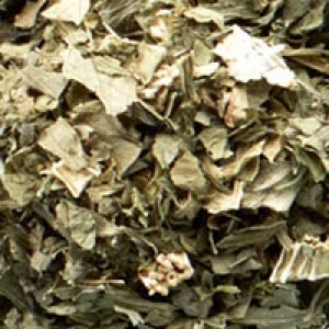 herbs 3