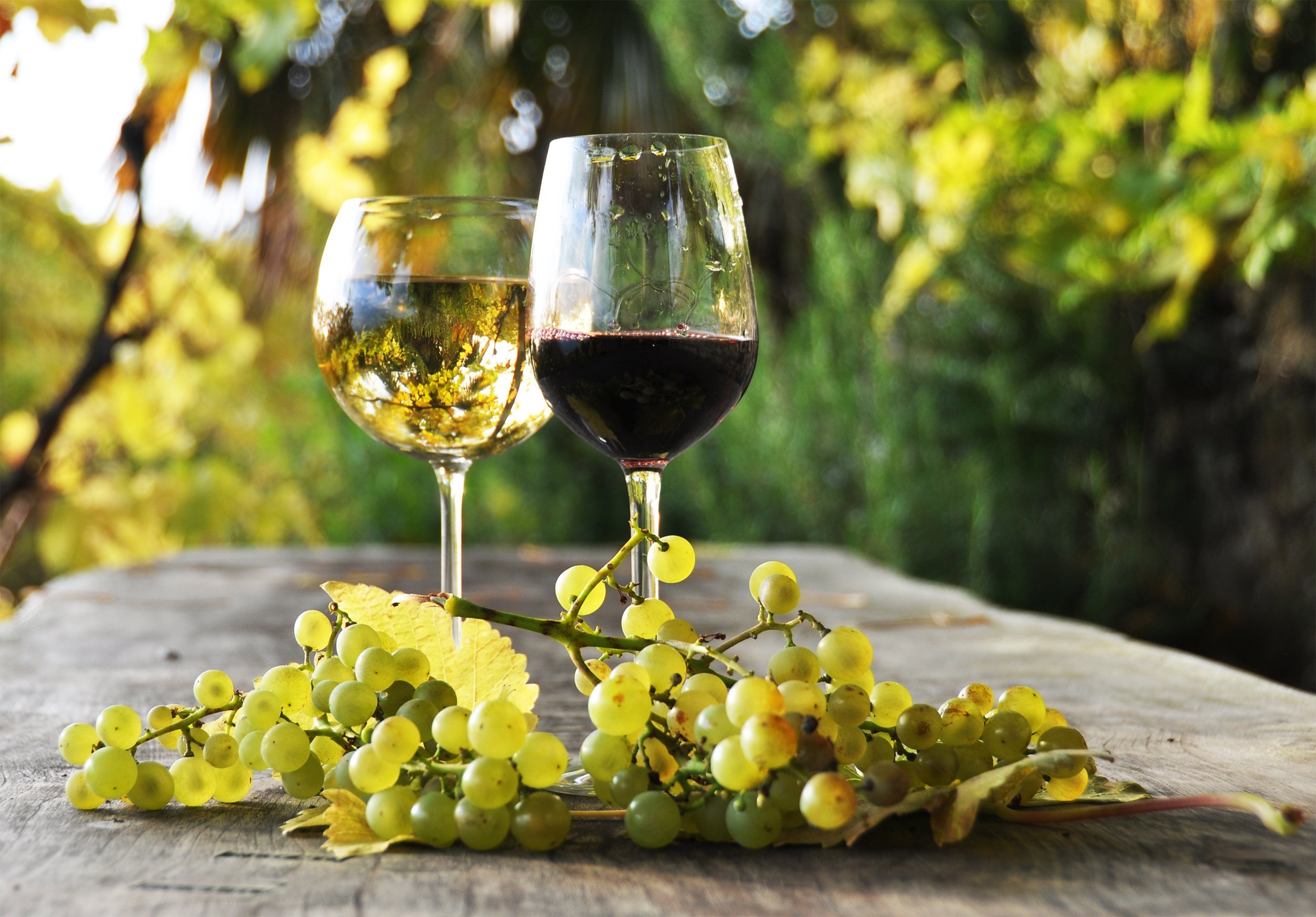 ab 495 € – 10 Tage Weinreise durch die schönsten Weinregionen Norditaliens mit Halbpension und Weinproben