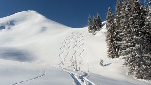wildschoenau 3