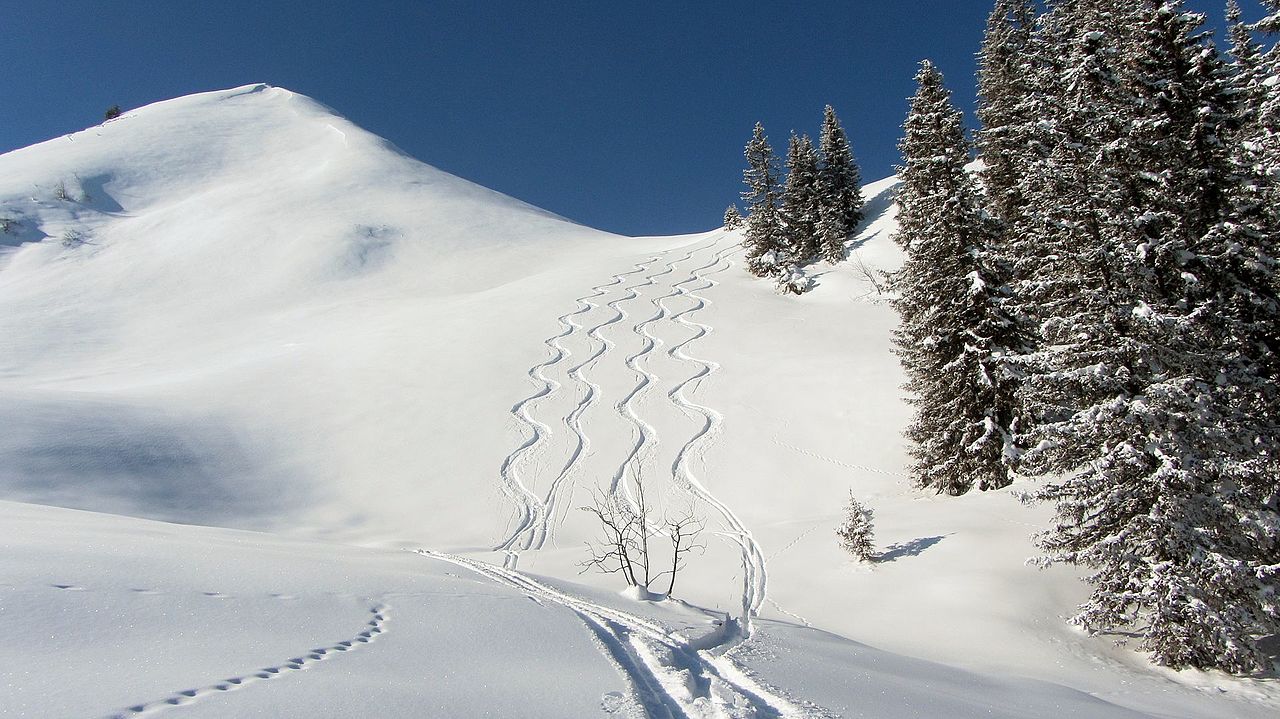 ab 149 € – 4, 5 oder 6 Tage Wildschönau-Niederau im 3* sup. Hotel inkl. Halbpension, Wildschönau Erlebnis Card & Mineralwasser Flasche