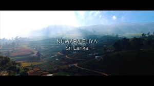 Nuwara Eliya, Sri Lanka (2017)