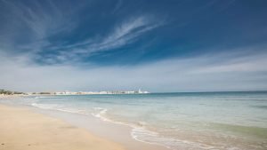 canne8 3