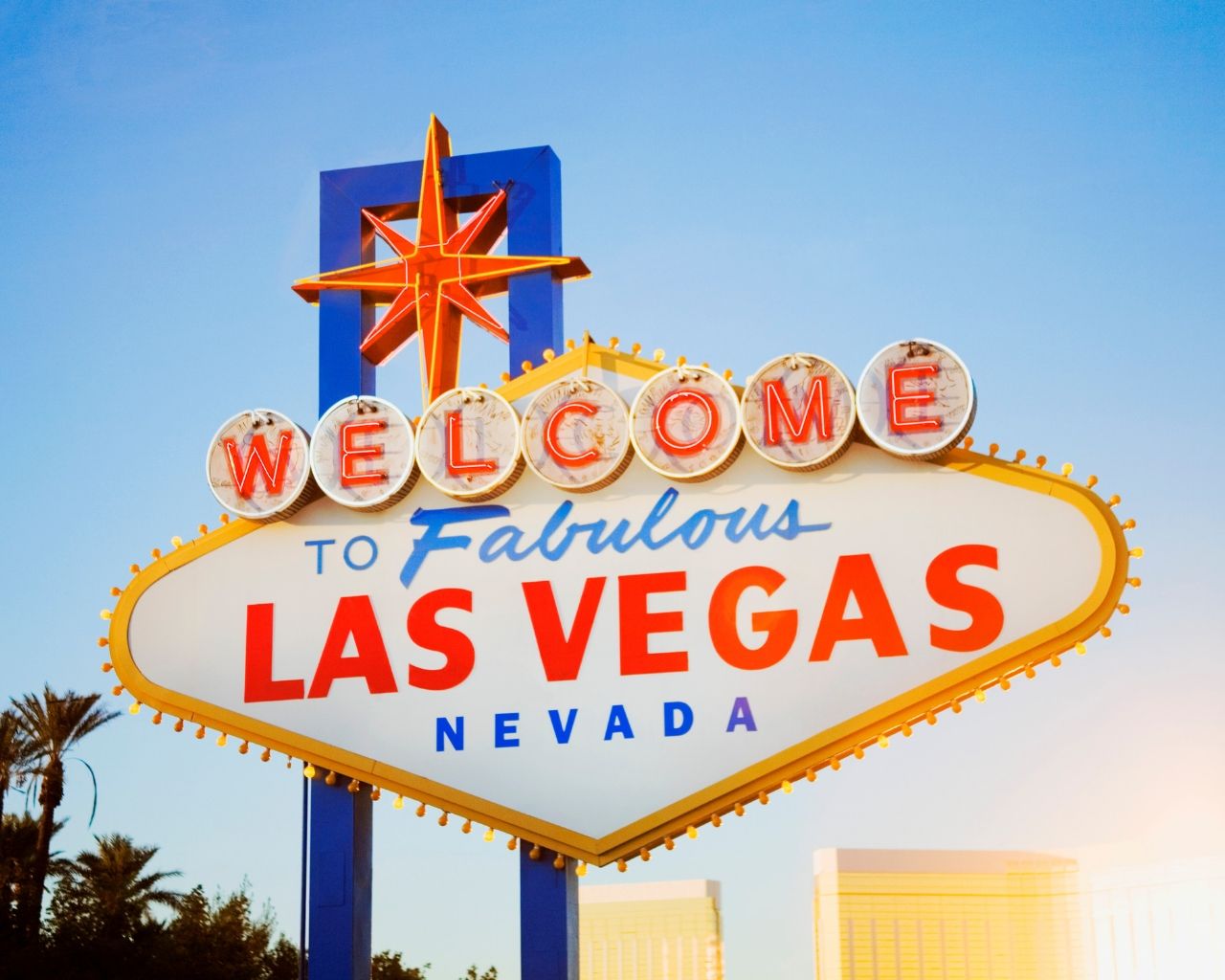 Condor baut Flotten und Frequenzen im Sommer aus