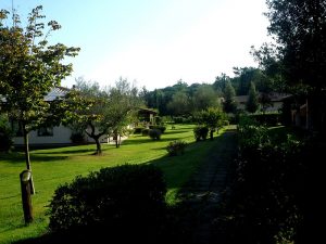 montebelli3 3