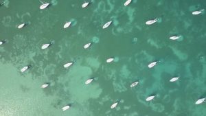 Bardolino - Verona - veneto - drone