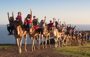 aldiana-fuerteventura25 3