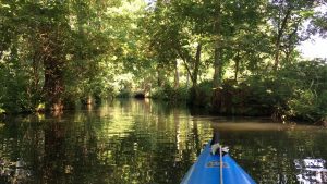 Paddeltour in Burg im Spreewald