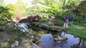 Jardin japonais de Samares Manor  - Saint Clement - Jersey