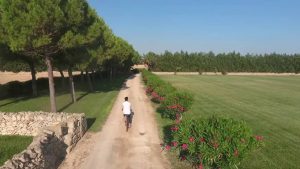 Masseria Bagnara - Attività