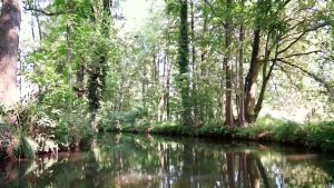 Burg - Spreewald