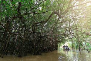 elephanthillstentedcamp26 3