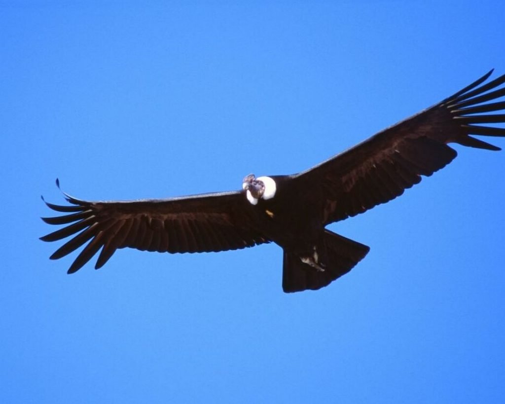 Reiseschn&auml;ppchen, Pauschalreisen, Urlaub & Reiseschn&auml;ppchen g&uuml;nstig buchen