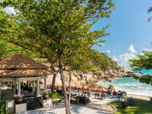 banyantree13 3