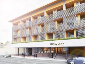 lamm2 3