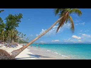 Punta Cana Drone Aerial - Iberostar | Riu | Astron shipwreck | Timelapse