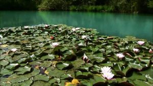 Naturerlebnis Kärnten: Naturpark Weissensee