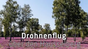 Drohnenflug über den Haußelberg | Heideflächen im Naturpark Südheide