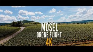 Beautiful Mosel | Winery filmed with a Drone | DJI Phantom4 | 4k