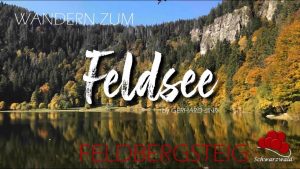 DER FELDBERG - FELDBERGSTEIG / DER SCHWARZWALD 🥾 🌲 🌳🌻 1