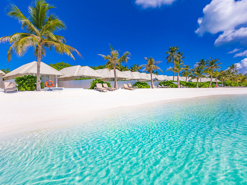 Barcelo Whale Lagoon Maldives, ab 3480 &euro; – 10 Tage Alif Dhaal Atoll, / Malediven im 5* Barcelo Whale Lagoon Maldives ( Neuer&ouml;ffnung 2023 ) inkl. All Inclusive, Transfer & Fl&uuml;gen