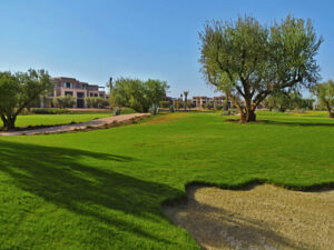 fairmont-royal-palm-3 3