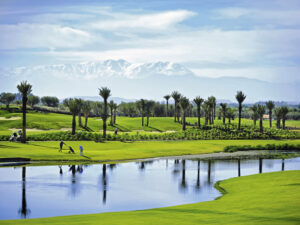 fairmont-royal-palm-36 3