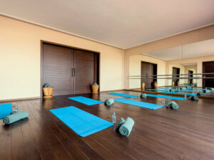 fairmont-royal-palm-39 3