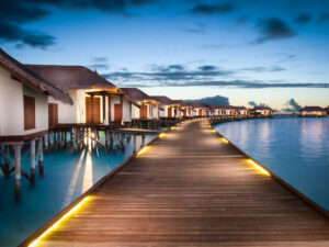 ozen-reserve-bolifushi-10 3