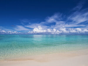 ozen-reserve-bolifushi-11 3