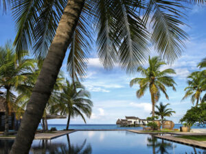 ozen-reserve-bolifushi-12 3