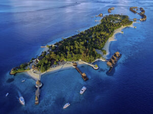 ozen-reserve-bolifushi-2 3