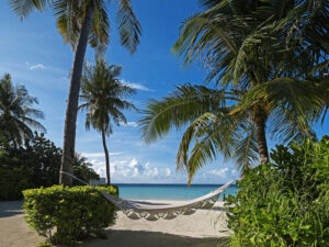 ozen-reserve-bolifushi-3 3