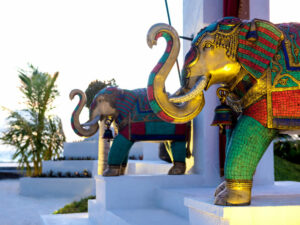 ozen-reserve-bolifushi-42 3