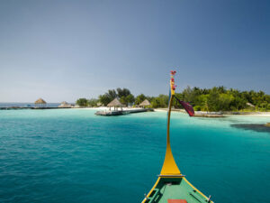 ozen-reserve-bolifushi-6 3