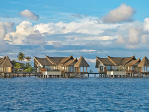 ozen-reserve-bolifushi-9 3