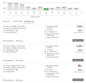 golden-bee-screenshot 3