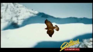 Nationalpark Hohe Tauern Tauernsuites Mitterwirt, ab 109 € – 3 Tage Kurzurlaub mit Kindern in Piesendorf mit Übernachtung in den Tauernsuites Mitterwirt inkl. Nationalpark Hohe Tauern Sommercard & WLAN