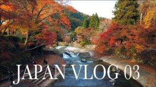 Japan Vlog Ep 3 - Flying drone in amazing Autumn foliage Erlebnisreise durch Japan, ab 2595 € – 11-tägige Erlebnisreise durch Japan inkl. Tokio mit Highlights alte Kaiserstadt Kyoto, Schnee-Affen von Jigokudani, UNESCO-Welterbestätte Shirakawago & Transfers und Flügen