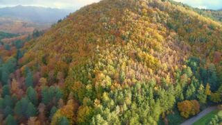 Drone tra i boschi dei Monti Nebrodi Hotel Terre di Eolo, ab 426 € – 7 Tage Patti / Sizilien im 4* Best Western Plus Hotel Terre di Eolo inkl. Frühstück und Flug