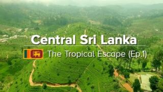 Central Sri Lanka: Things to do in Kandy, Sigiriya & Polonnaruwa (Tropical Escape #1) Vereinigte Arabische Emirate, ab 1099 € – 12-tägige Rundreise Sri Lanka / Vereinigte Arabische Emirate inkl. Frühstück, Flug & großem Ausflugapaket in Sri Lanka