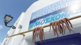 Paros island, Greece ! - Drone Footage ! Summer Senses Luxury Resort, 1.267 € – Neueröffnung 2019: 14 Tage Piso Livadi / Paros im 5* Summer Senses Luxury Resort inkl. Halbpension & Flug