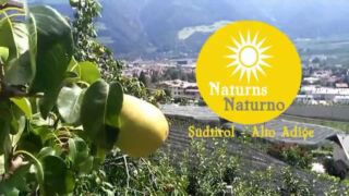 Naturns Naturno Südtirol Alto Adige Wellnesshotel Prokulus, ab 1266,50 € – 7 Tage Wellnessurlaub in Naturns / Südtirol im 4,5* Familien & Wellnesshotel Prokulus inkl. Frühstück, 8.000 m² großen SPA & Kinderbetreuung