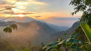 THE BEAUTY OF SRI LANKA 🌴❤️MAVIC PRO DRONE 4K 🌴 Vereinigte Arabische Emirate, ab 1099 € – 12-tägige Rundreise Sri Lanka / Vereinigte Arabische Emirate inkl. Frühstück, Flug & großem Ausflugapaket in Sri Lanka
