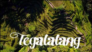 Bali rice terraces - Travel Ubud ULTRA HD DRONE The Apurva Kempinski Bali, ab 1.520 € – 7 Tage Kuta Selatan / Bali im 5,5 * The Apurva Kempinski Bali ( Neueröffnung 2019 ) inkl. Halbpension, Transfer & Flügen