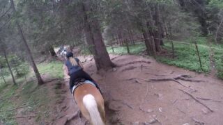 Ausritt in Hafling Sommer 2018 Mesnerwirt, ab 219 € – 2,3 oder 7 Tage Hafling / Südtirol im 4* Mesnerwirt inkl. Halbpension