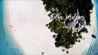 Coco Palm Dhuni Kolhu, Maldives - Luxury, dolphins & romance at the Eco Beach Hideaway Coco Palm Dhuni Kolhu, ab 3.124 € – 14 Tage Baa Atoll / Maledivien im 4* Coco Palm Dhuni Kolhu inkl. All Inklusive, Transfer & Flügen