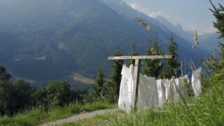 Stubaital: Sommer in den Bergen I Tiroler Alpen ⛰ Hotel Jagdhof, ab 332 € statt ab 364 € – 2,3 oder 7 Tage Erholungsurlaub in Neustift im Stubaital im 5* Hotel Jagdhof