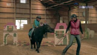 Aldiana Club Ampflwang Aldiana Club Ampflwang, ab 287 € – 3 oder 7 Tage Cluburlaub in Ampflwang / Österreich im 4* Aldiana Club Ampflwang inkl. Vollpension