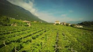 Weinberge Kellerei St Michael Eppan Hotel Christof, ab 270 Euro statt ab 307 € – 3 oder 7 Tage Erholungs- und Golfurlaub in Eppan / Südtirol im 4* Hotel Christof inkl. Halbpension